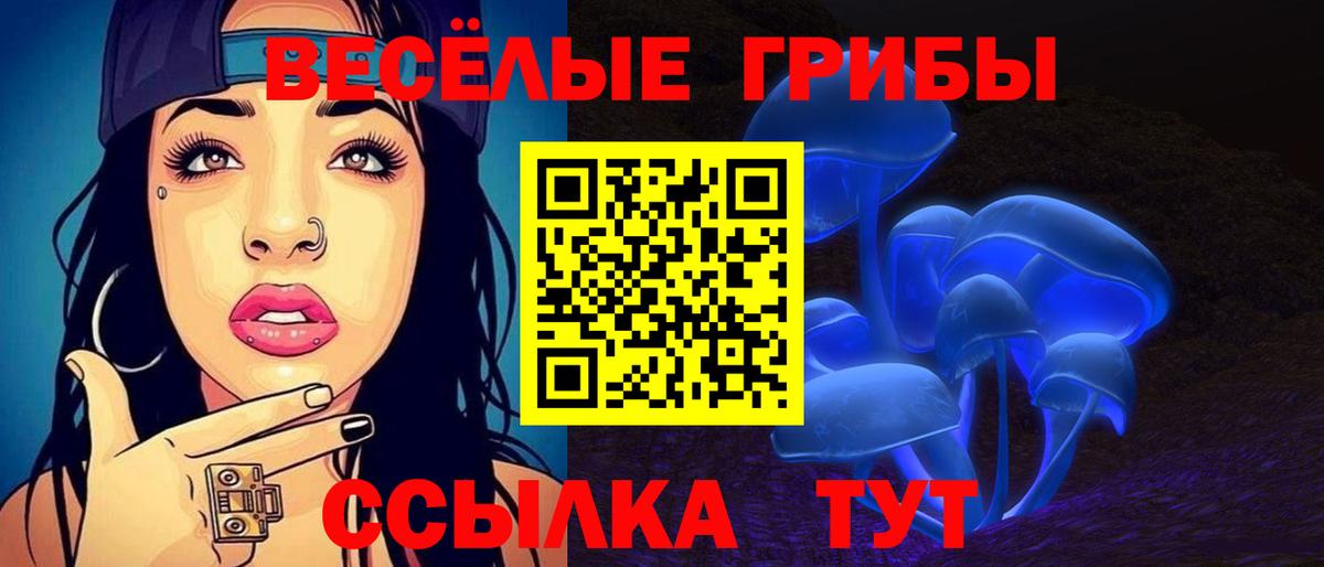 Новокубанск  Псилоцибиновые грибы Psilocybine cubensis  Вход с VPN  Псилоцибиновые грибы Psilocybe 
