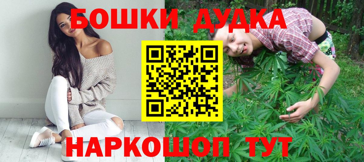 Бошки Шишки план Новокубанск